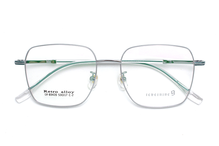 Monturas de gafas grandes - Plata