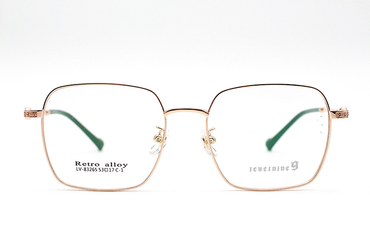 Gafas de montura fina_C1