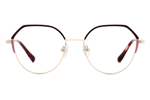 Marcos de anteojos recetados de gafas de metal retro WX21022