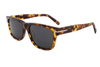 Gafas de sol de acetato-FG1456T