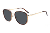 Gafas de sol de acetato metálico-FG1071T