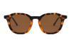 Gafas de sol de acetato-FG1232T