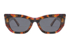 Gafas de sol de acetato-FG1229T