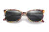 Gafas de sol de acetato-FG1296T