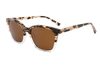 Gafas de sol de acetato-FG1368T