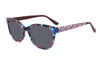 Gafas de sol de acetato-FG1393T