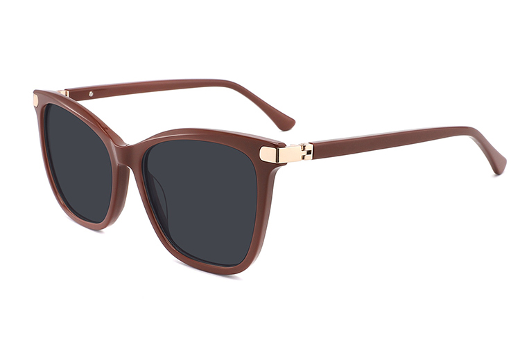 Gafas de sol de acetato-ZD8825T