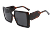 Gafas de sol de acetato-FG1465T