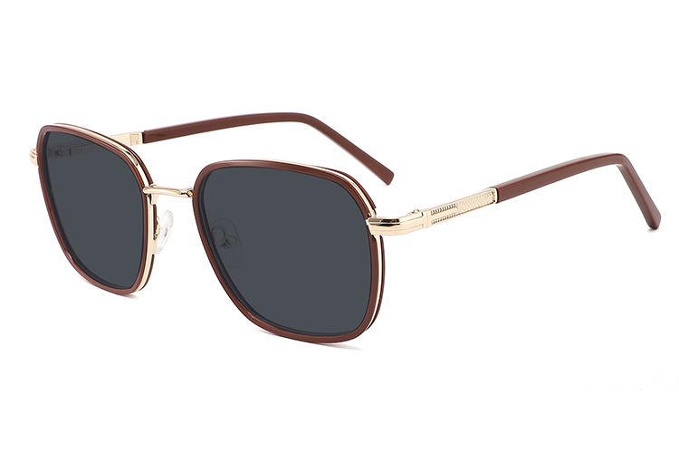 Gafas de sol de acetato metálico-FG1073T