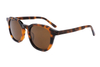 Gafas de sol de acetato-FG1232T