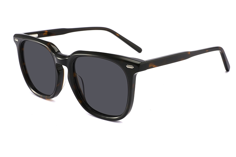 Gafas de sol de acetato-FG1525T
