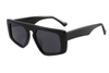 Gafas de sol de acetato-FG1533T