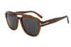Gafas de sol de acetato-FG1460T