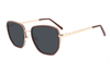Gafas de sol de acetato metálico-FG1072T