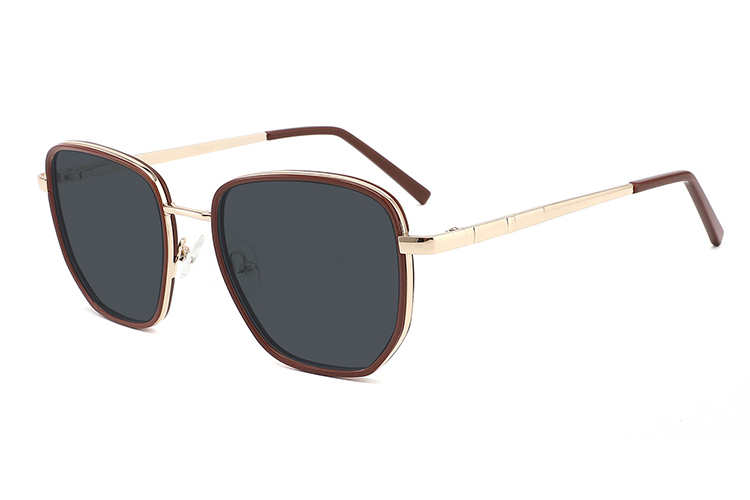 Gafas de sol de acetato metálico-FG1072T
