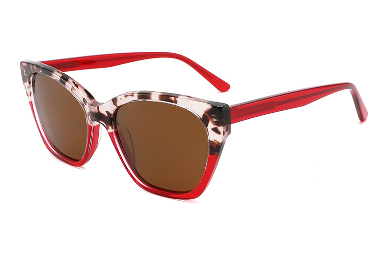 Gafas de sol de acetato-FG1361T