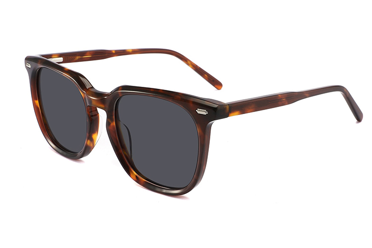 Gafas de sol de acetato-FG1525T