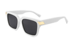 Gafas de sol de acetato-FG1439T