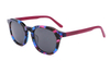 Gafas de sol de acetato-FG1232T