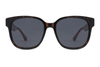 Gafas de sol de acetato-FG1329T