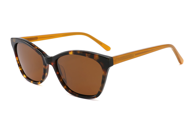 Gafas de sol de acetato-FG1365T
