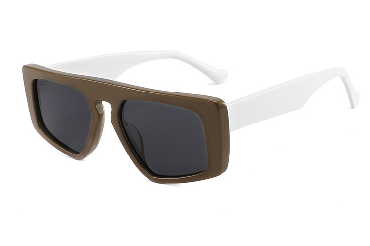 Gafas de sol de acetato-FG1533T