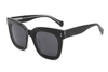Gafas de sol de acetato-FG1451T