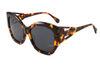 Gafas de sol de acetato-FG1503T