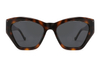 Gafas de sol de acetato-FG1506T