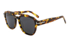 Gafas de sol de acetato-FG1460T