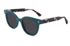 Gafas de sol de acetato-FG1564T