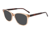 Gafas de sol de acetato-FG1299T