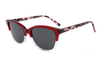 Gafas de sol de acetato-FG1364T