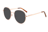 Gafas de sol de metal-ZD8808T