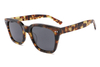 Gafas de sol de acetato-FG1230T