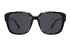 Gafas de sol de acetato-FG1523T