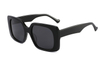 Gafas de sol de acetato-FG1534T