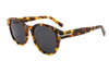 Gafas de sol de acetato-FG1457T