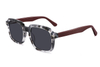 Gafas de sol de acetato-FG1565T