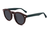 Gafas de sol de acetato-FG1566T
