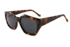 Gafas de sol de acetato-FG1509T