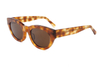 Gafas de sol de acetato-FG1231T