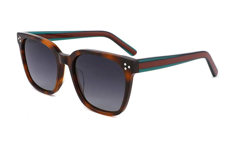 Gafas de sol de acetato-FG1322T