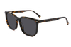 Gafas de sol de acetato-FG1524T