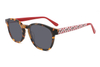 Gafas de sol de acetato-FG1395T