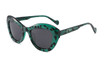 Gafas de sol de acetato-FG1454T