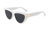 Gafas de sol de acetato-FG1438T