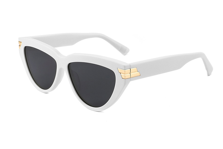 Gafas de sol de acetato-FG1438T