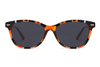 Gafas de sol de acetato-FG1570T