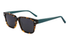 Gafas de sol de acetato-FG1561T